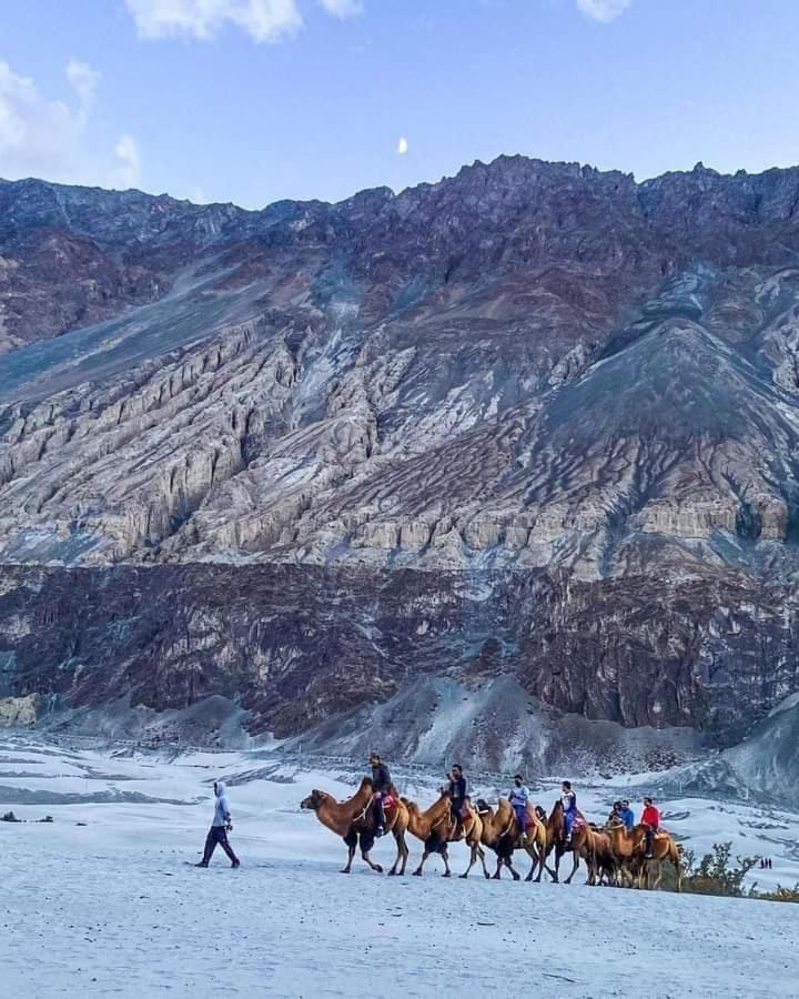 Hotel Nubra Residency Charāsa מראה חיצוני תמונה